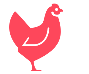 مرغ