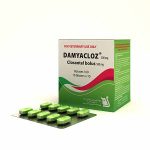 Damyacloz ® 500 mg