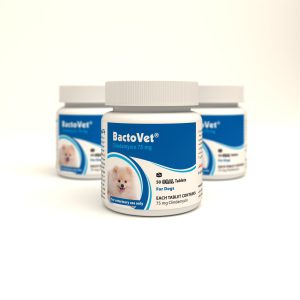BactoVet®